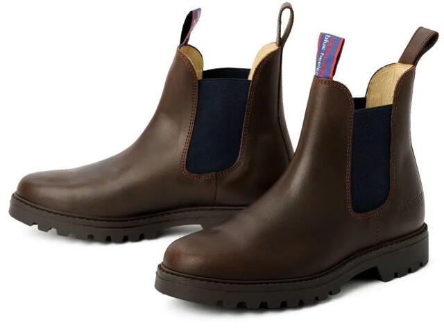 Korte støvler med eleastikside - Jackaroo boots, Brown/Navy, par